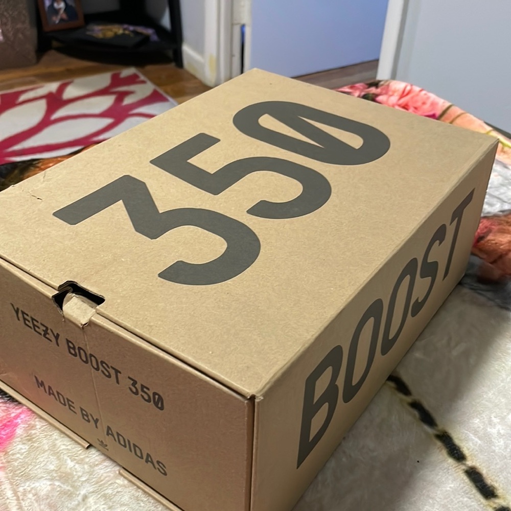 Yeezy boost350 Zion